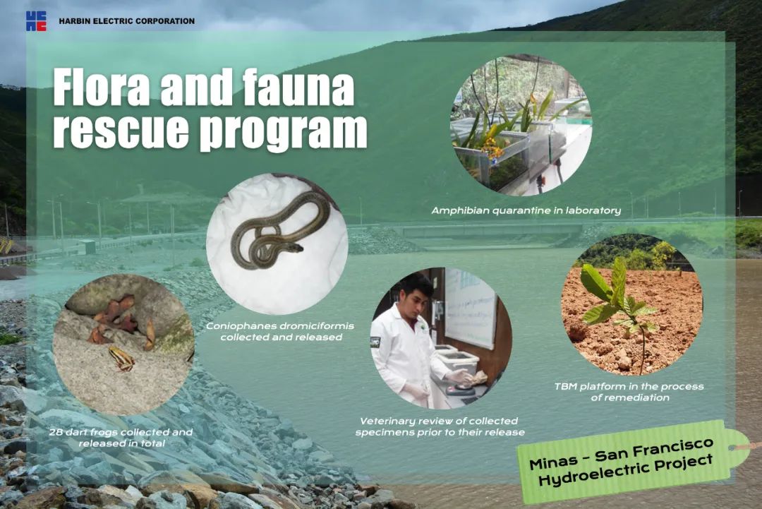 尊龙凯时【最新官网】人生就是搏!