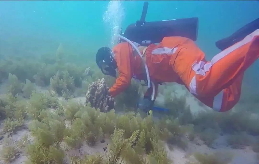 尊龙凯时【最新官网】人生就是搏!